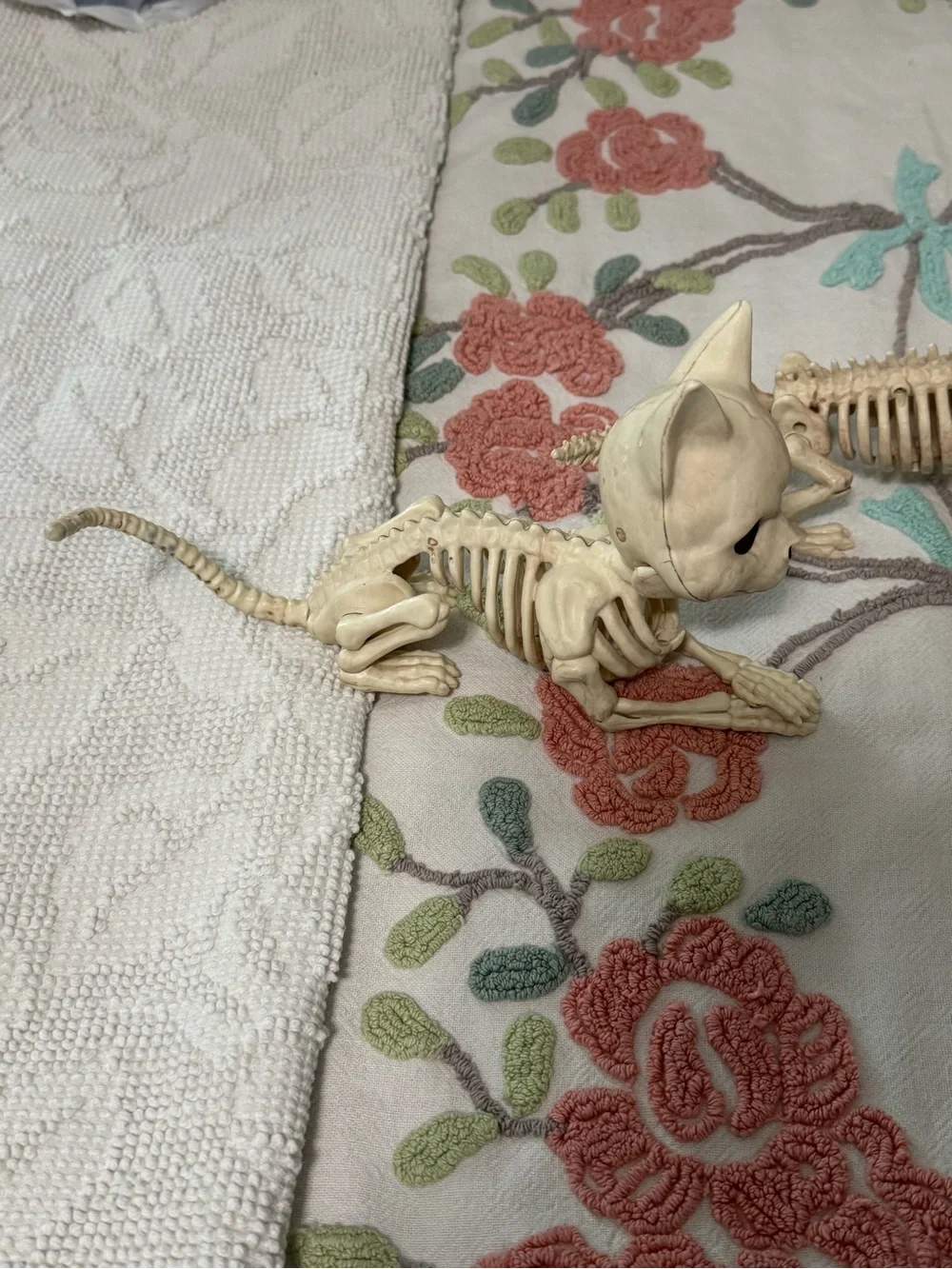 Halloween Skeleton Figurine Set Cat Unicorn Triceratops Bone Color Decor 3pc